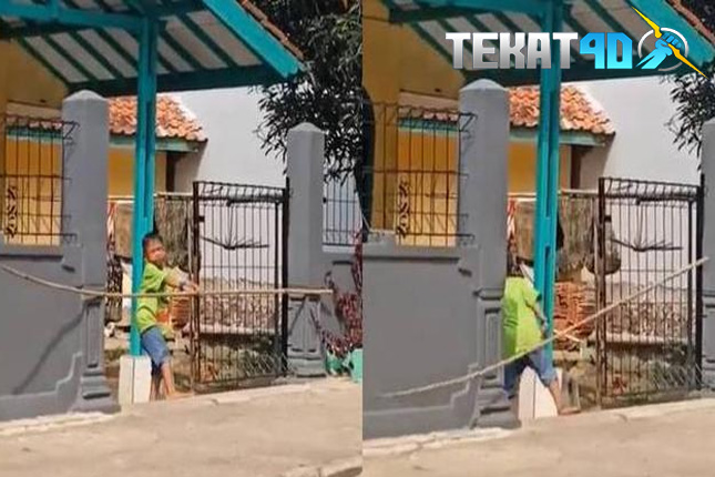 Viral, Bocah Kesulitan Masukan Bambu Lewat Gerbang Rumah Ini Bikin Geregetan