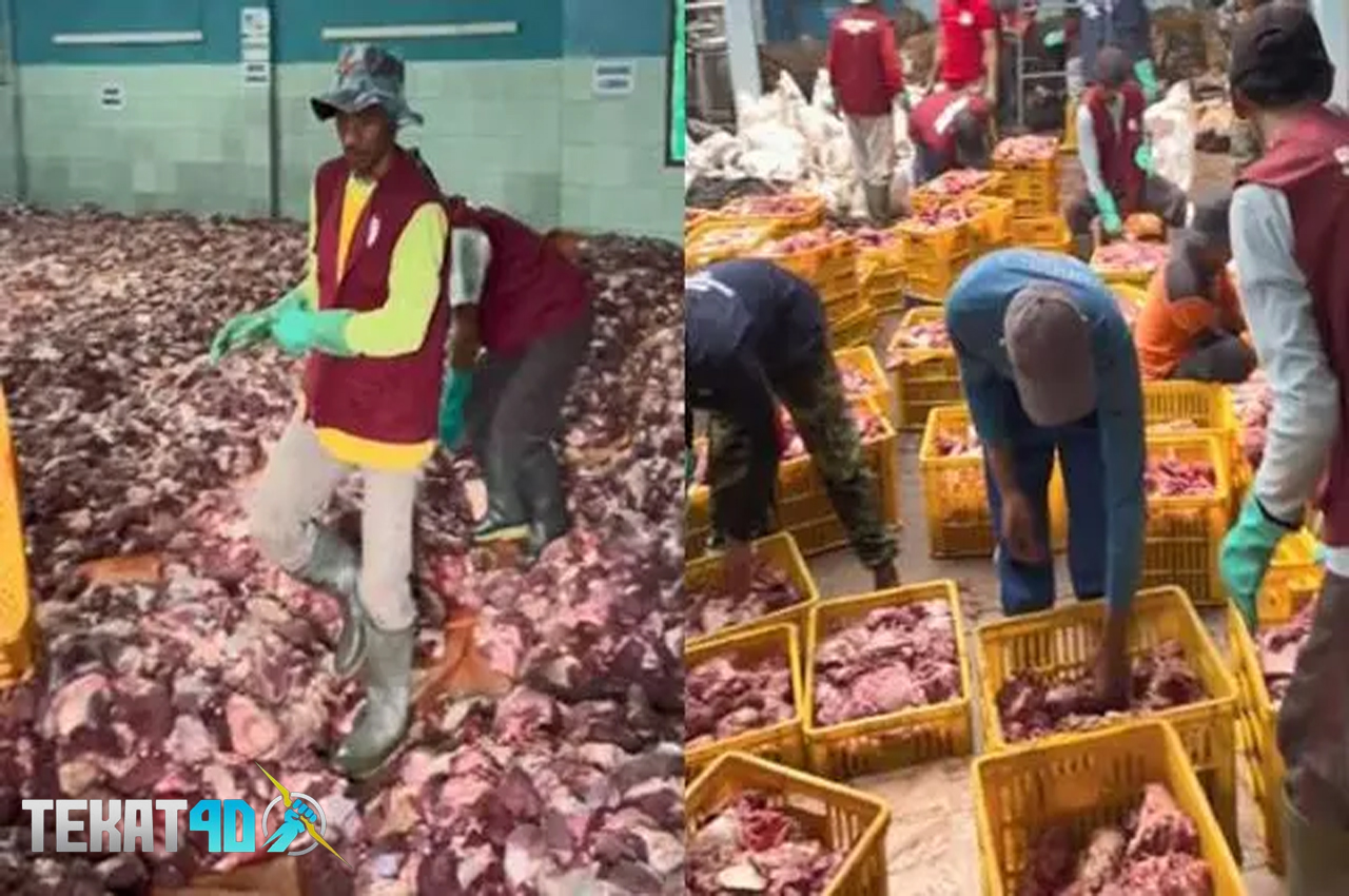 Dusun di Banjarnegara Kurban 73 Sapi dan 254 Kambing, Daging Terkumpul Capai 25 Ton