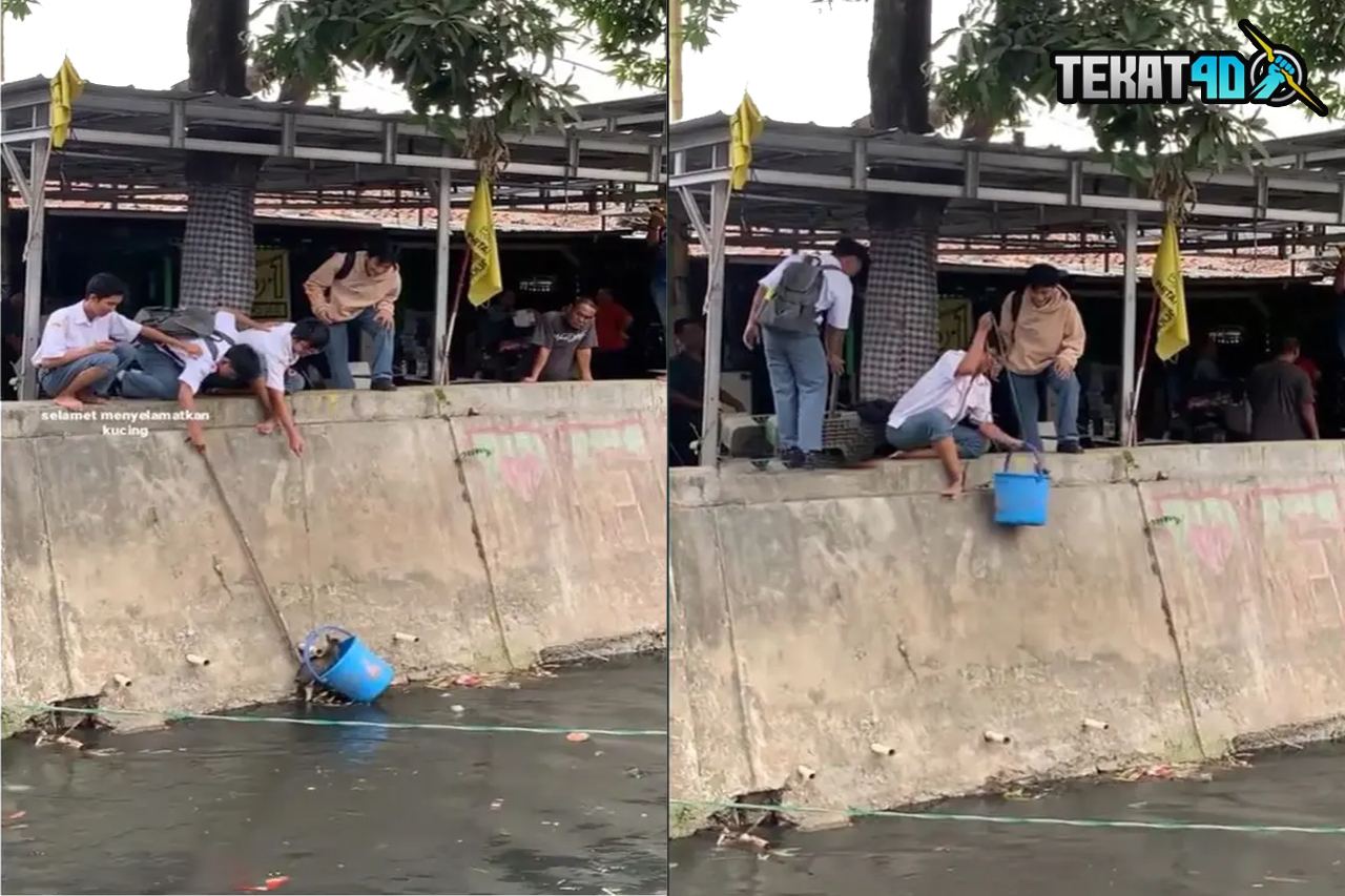 Momen 4 Pelajar SMA Kerja Sama Tolong Kucing yang Jatuh ke Sungai, Bikin Salut