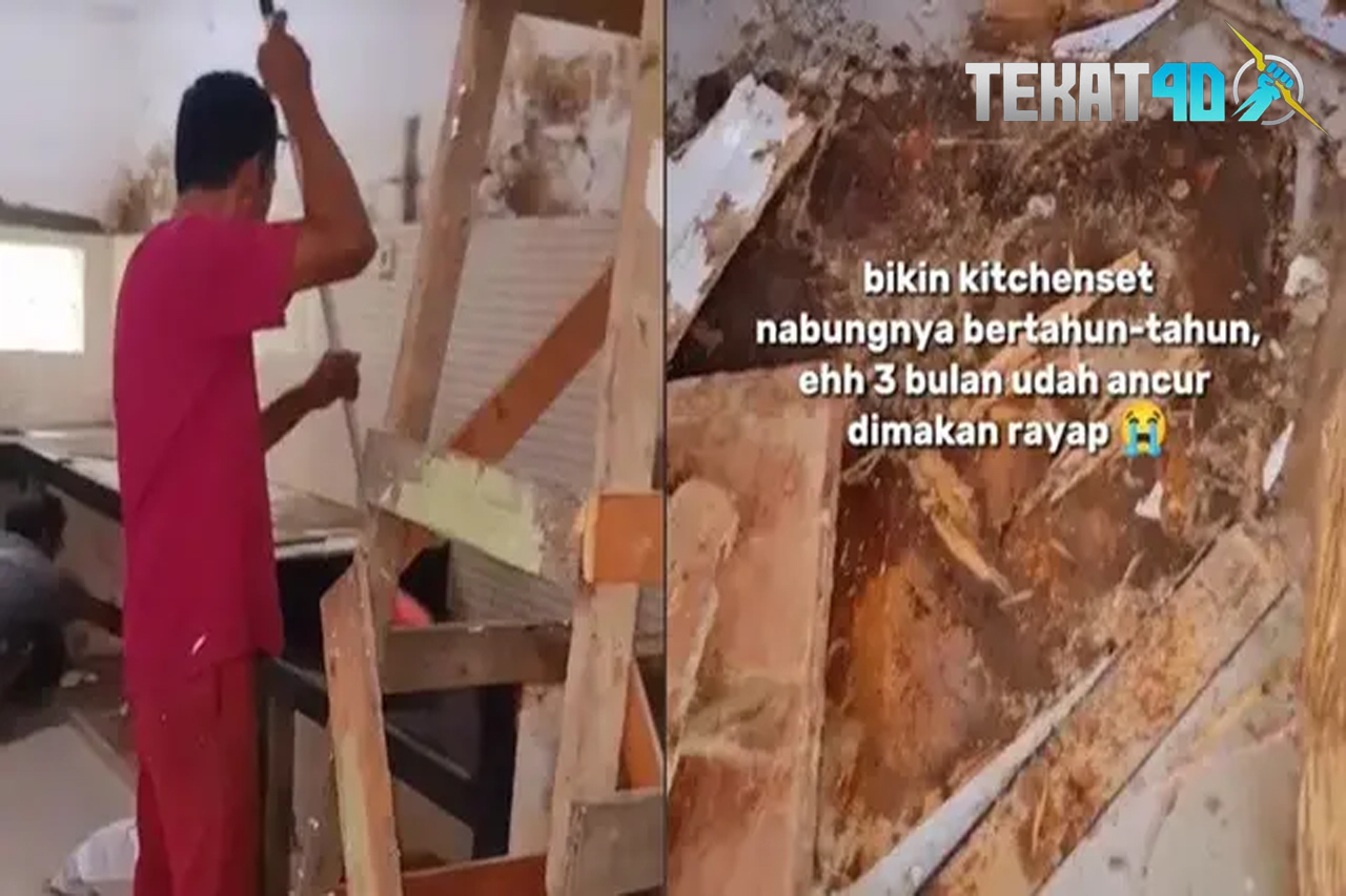 Kisah Pilu Bikin Kitchen Set Impian Hasil Nabung, 3 Bulan Hancur Dimakan Rayap