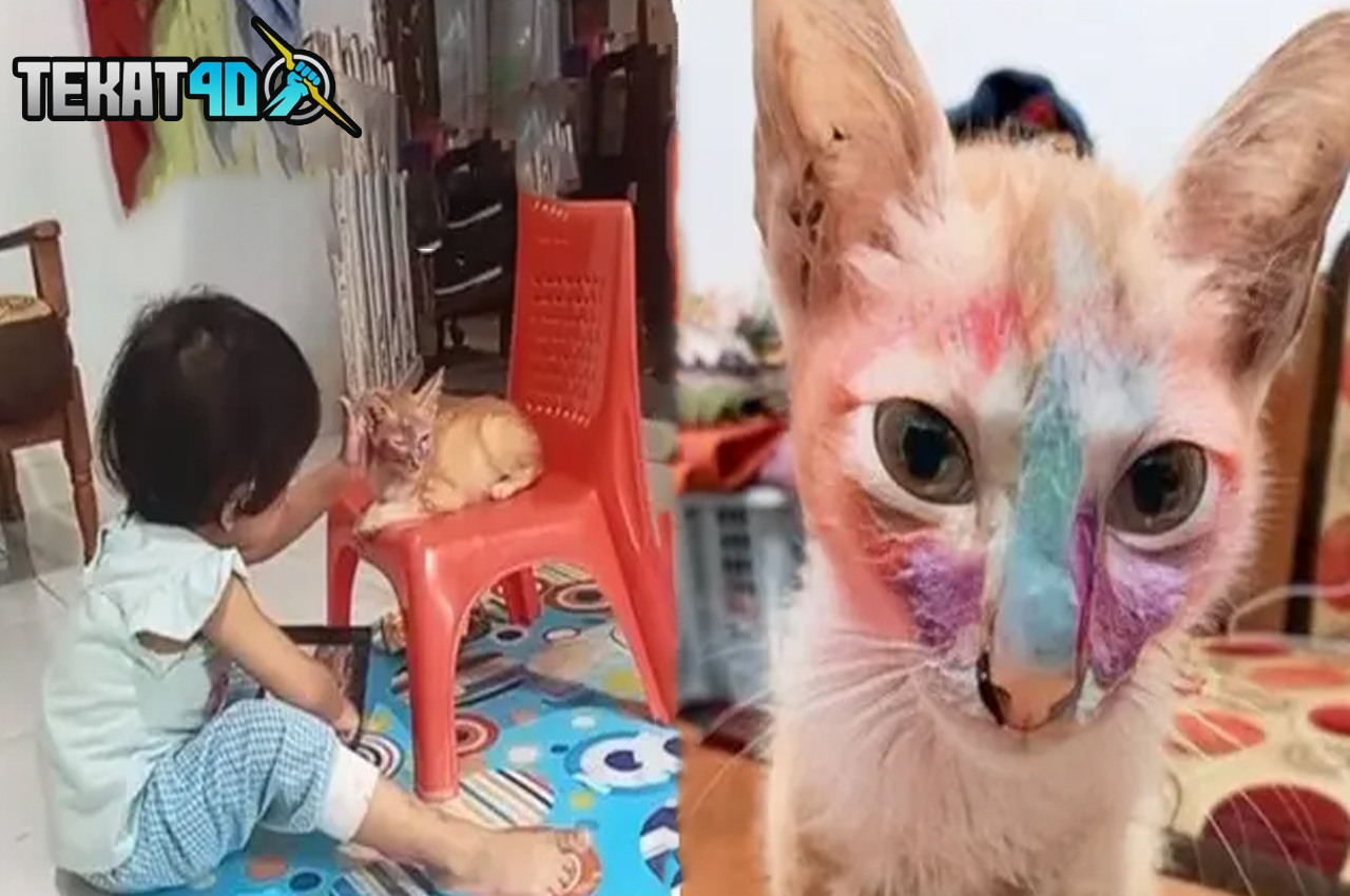 Momen Kucing Didandani Anak Kecil Ini Bikin Gemas, Pasrah Banget